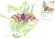 Ukraine:Ukraina:Maxi Card, Butterfly, Smerinthus Ocellatus, 2004 - Papillons