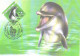 Soviet Union:USSR:Russia:Maxi Card, Dolphin, Tursiops Truncatus, 1991 - Delfines