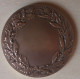 D3-527 Médaille Bronze Signée H.Demey Natation,diamètre=49mm/50mm,poids=55,60g - Natation
