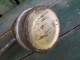Delcampe - Ancienne Lampe De Mineur Avec Manche En Bois Combustible Carbure Acétylène Arras - Outils Anciens