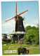 Norg (Dr) - Molen - Norg