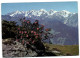 Verbier - Le Massif Du Trient Vu Depuis Les Ruinettes - Trient