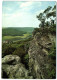 Point De Vue  - Plateau Du Roitzbach - Promenade B - Berdorf - Berdorf