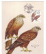 Czech Republic 2003 MiNr. 374 - 376 Tschechische Republik Birds  3v  MC  4,50 € - Aigles & Rapaces Diurnes