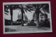 Melilla, Plaza De España/ Vintage Postcard 1920s / Ed Roisin - Melilla
