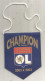 Fanion, Sports, Football, Olympique Lyonnais, Champion De France, OL, 2002-2003, Lyon, 2 Scans, 115 X 115 Mm - Altri & Non Classificati