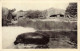 FRANCE - Paris - Jardin Zoologique De Vincennes - L'hippopotame Sortant Du Bain - Carte Postale Ancienne - Parks, Gärten