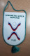 Pennant SLOVENIA Handball Federation 1949 103x180mm - Handball