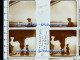 Delcampe - Photographie Stéréoscopique Lot De 38 Vues De ROYAN Et Ses Environs (17) Positifs Sur Verre 45x107mm Vérascope Taxiphote - Stereoscoop