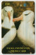 Falkland Islands - Adult Black-Browed Albatross - Falklandeilanden