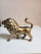 Sculpture Lion Ancien En Bronze Doré Hauteur 10 Cm X 12 Cm - Bronzi