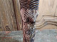 Delcampe - Statue Sculpture Totem Os Fétiche Afrique African Bone - Afrikanische Kunst