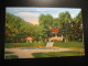 ROCKFORD Illinois Pavilion At Sinnissippi Park GOLF Cancel 1949 To Sweden Sligh Damaged Postcard USA - Rockford