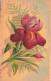 FLEURS - PLANTES - ARBRES - Fleurs - Colorisé - Carte Postale Ancienne - Blumen