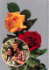 COUPLE - Un Couple Et Des Roses - Chemises à Carreaux - Colorisé - Carte Postale - Koppels