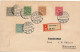 Flensburg Plebiscit 14.3.1920 R-Brief        2 SCANS - Altri & Non Classificati