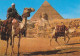 AK 171821 EGYPT - Giza - Camel Driver Near The Sphinx And Khefre Pyramid - Sphynx