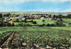 89 - CHABLIS _C00383_  Vue Générale - Les Vignes - CPSM - 15x10 Cm - Chablis