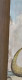 Delcampe - RAHAN Les Animaux De La Préhistoire GORAK ESPADON MAMMOUTH TIGRE SUPPLEMENT PIF GADGET N° 1479 EO 1973 CHERET LECUREUX - Rahan