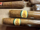 Delcampe - Sigarenbanden   Cuba Cohiba   22 Stuks - Sigarenkisten (leeg)