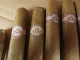 Delcampe - Sigarenbanden   Cuba Cohiba   22 Stuks - Zigarrenkisten (leer)