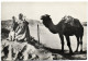 Collection Artistique L'Afrique - La Prière Ai Désert - Western Sahara