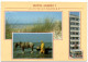 Oostduinkerke - Hotel Albert I - Oostduinkerke