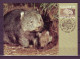 Australia 1992 MiNr. 1314 - 1317 Australien Gefährdete Tiere ANIMALS 4v MC 5,00 € - Cartes-Maximum (CM)