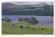 AK 172005 IRELAND - Am Ufer Des Gartan Lough Bei Church Hill - Donegal