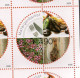 Iceland 2005 10v - 10 X 90Kr Gastronomy Food Flowers Herbs MNH - Booklets