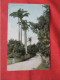 Royal Palms.  Bermuda   Ref 6221 - Bermuda
