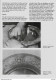 Delcampe - - Kunsthandwerkliiches Zinngieken -  Von Rolf Dwenger -  Mit 164 Bildern  Und 16  Tafeln  Davon 13 Mehrfarbig - 172 Bla - Art