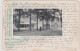 Lochem - Familie Hotel Dollehoed - 1901 - Lochem