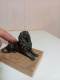 Statuette Lion En Régule Sur Support Marbre Longueur 10 Cm - Métal