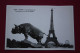 Paris .  Rhino 1989 Postcard - Rhinocéros