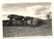 Dolmen De Kerbourg - Saint-Lyphard