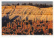 AK 172105 USA - Utah - Sunset Point Im Bryce-Canyon-Nationalpark - Bryce Canyon