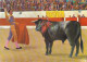 AK 172300 BULL / STIER - Torero - Guillemo Carvajal - Taureaux