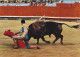 AK 172308 BULL / STIER - Pase De Rodillas - Taureaux