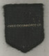 Ecusson De La GENDARMERIE, 2 Scans, Région Auvergne, Agréé DGGN - Polizia