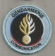 Ecusson De La GENDARMERIE, 2 Scans, Communication, Agréé DGGN - Police