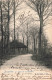 BELGIQUE - Bruxelles - Bois De La Cambre - Carte Postale Ancienne - Parks, Gärten