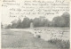 NZ - FRANKED PC (VIEW OF OLD HAMPTON UK) FROM WESTPORT TO MEXICO - GOOD DESTINATION - 1905 - Brieven En Documenten