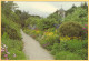 The Herbaceous Border - Ilnacullin, Garinish Island, Co. Cork, Ireland - Cork