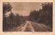 ALLEMAGNE - Dübener Heide - Weg Nach Forsthaus Parnitz - Carte Postale Ancienne - Bad Dueben