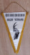 CAPTAIN Pennant Rugby Federation Of AUSTRIA Association 27x39 Cm - Rugby