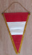 CAPTAIN Pennant Rugby Federation Of AUSTRIA Association 27x39 Cm - Rugby