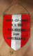 Captain Pennant Handball EUROPA Cup FINALE Hypo Sudstadt : Vasas 16.5.1993  23x35cm - Palla A Mano