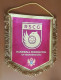 Captain Pennant Handball Federation Of MONTENGRO 31x36cm Matchworn - Handball