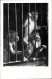 !  Ansichtskarte Reklame , Werbung, Circus Willy Hagenbeck, Affen, Wolfsburg, 1953 - Monos